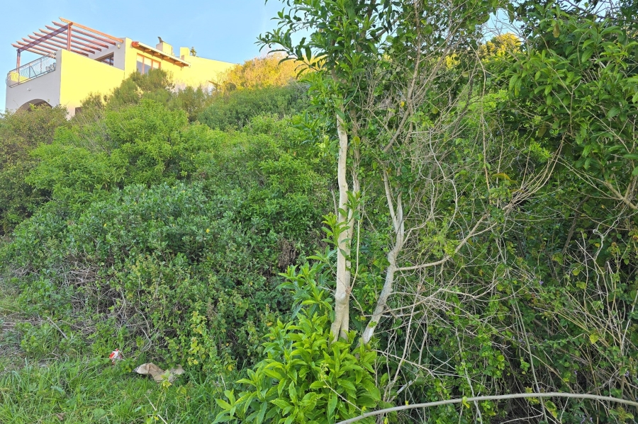 0 Bedroom Property for Sale in Santareme Eastern Cape